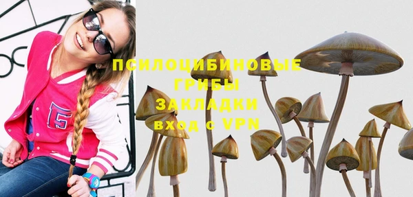 дмт Всеволожск