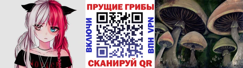 Псилоцибиновые грибы Magic Shrooms  закладка  Киселёвск 
